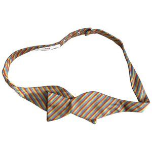 Carrot & Gibbs Silk Bowtie Rainbow Striped Colorful Maximalist Playful Artsy